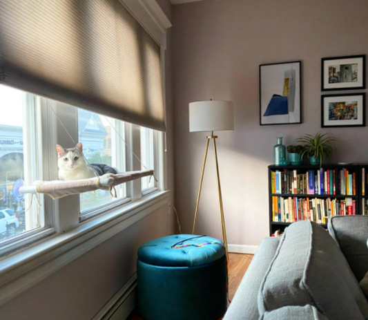Kissa-ikkunasänky + höyhenrotta